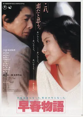 暖阳之下